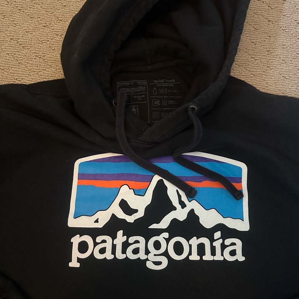 Patagonia Black Hoodie with Mountain Logo